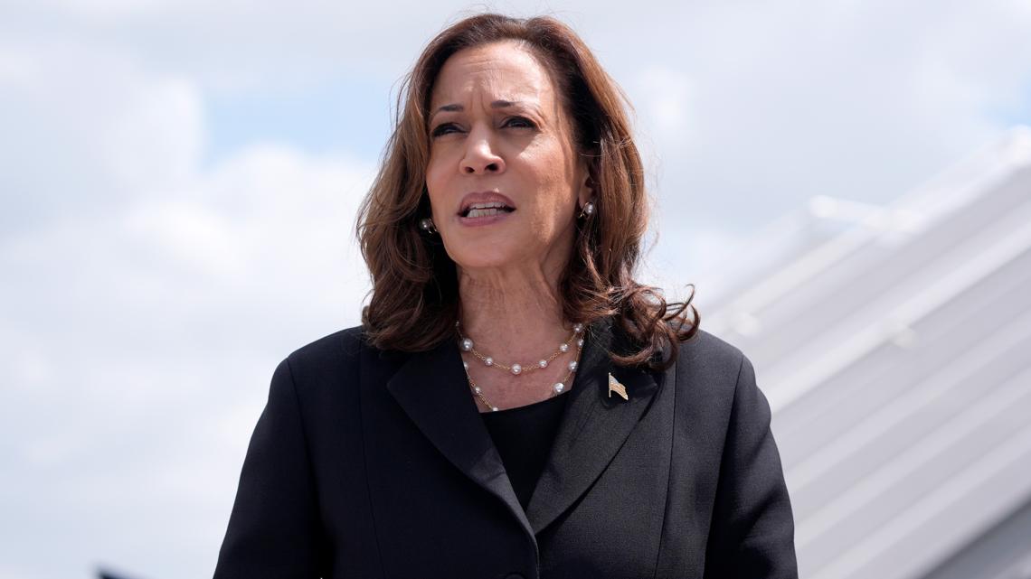 Is Vice President Kamala Harris Bidens Border Czar 9news