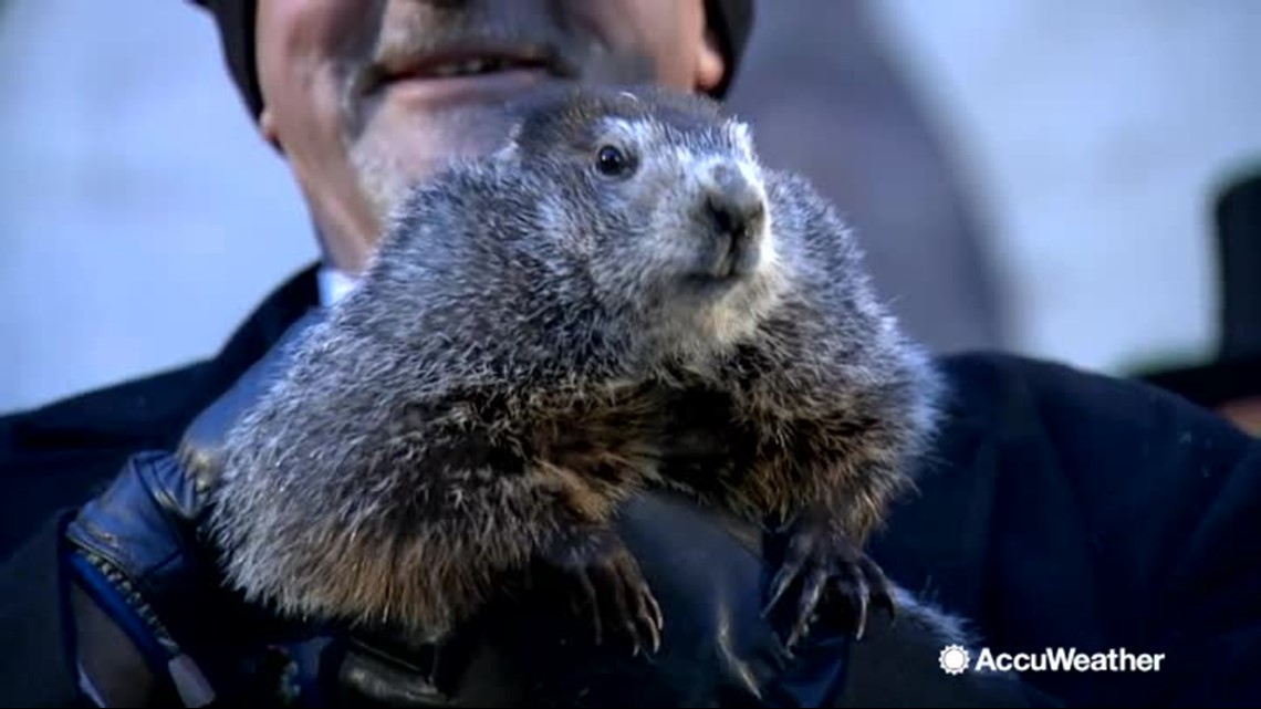 The history and origins of Groundhog Day | 9news.com