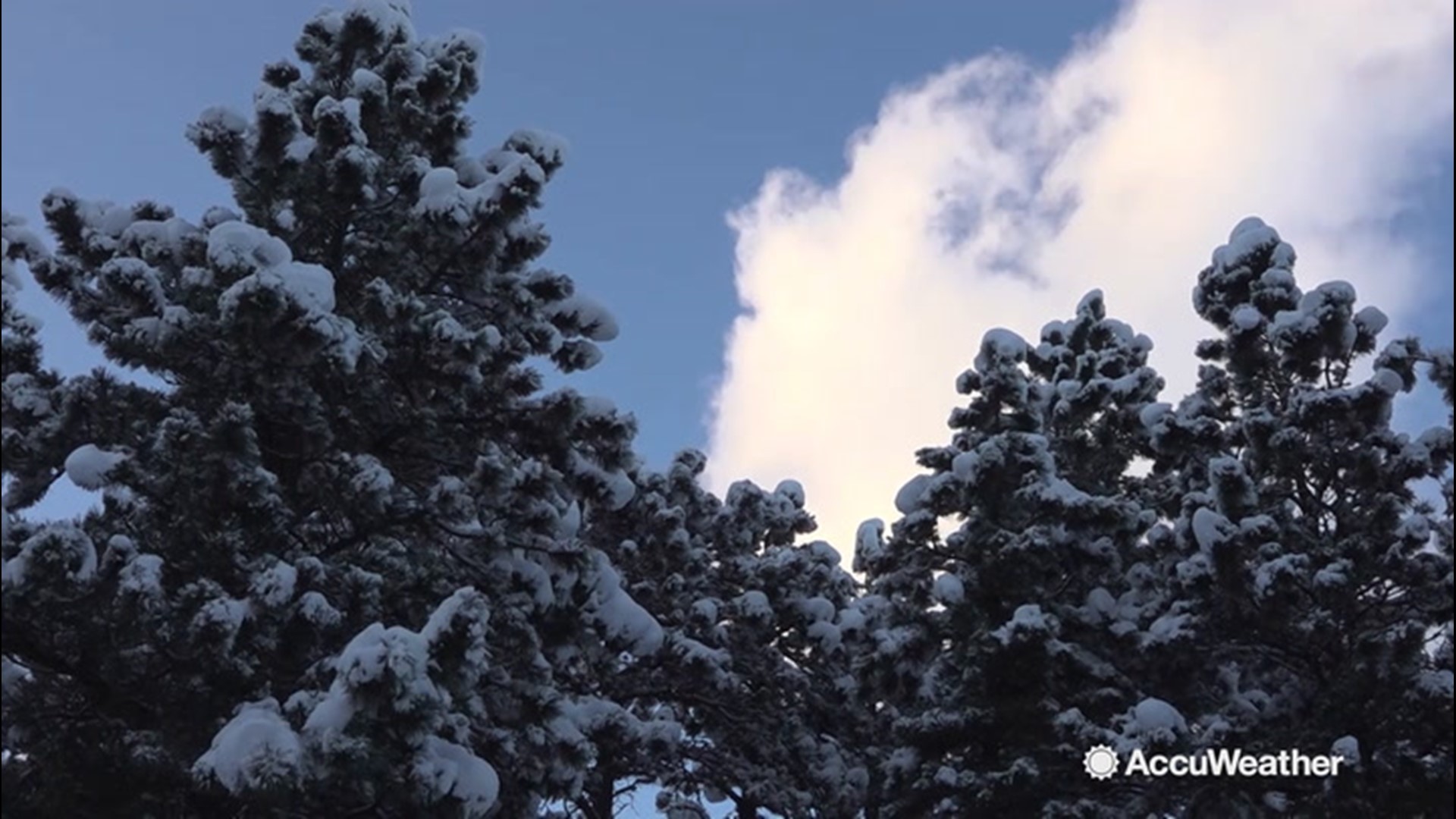 More than 7 inches of snow fell in the Boulder, Colorado, area on Oct. 28, creating a stunning 'snowscape' across the area.