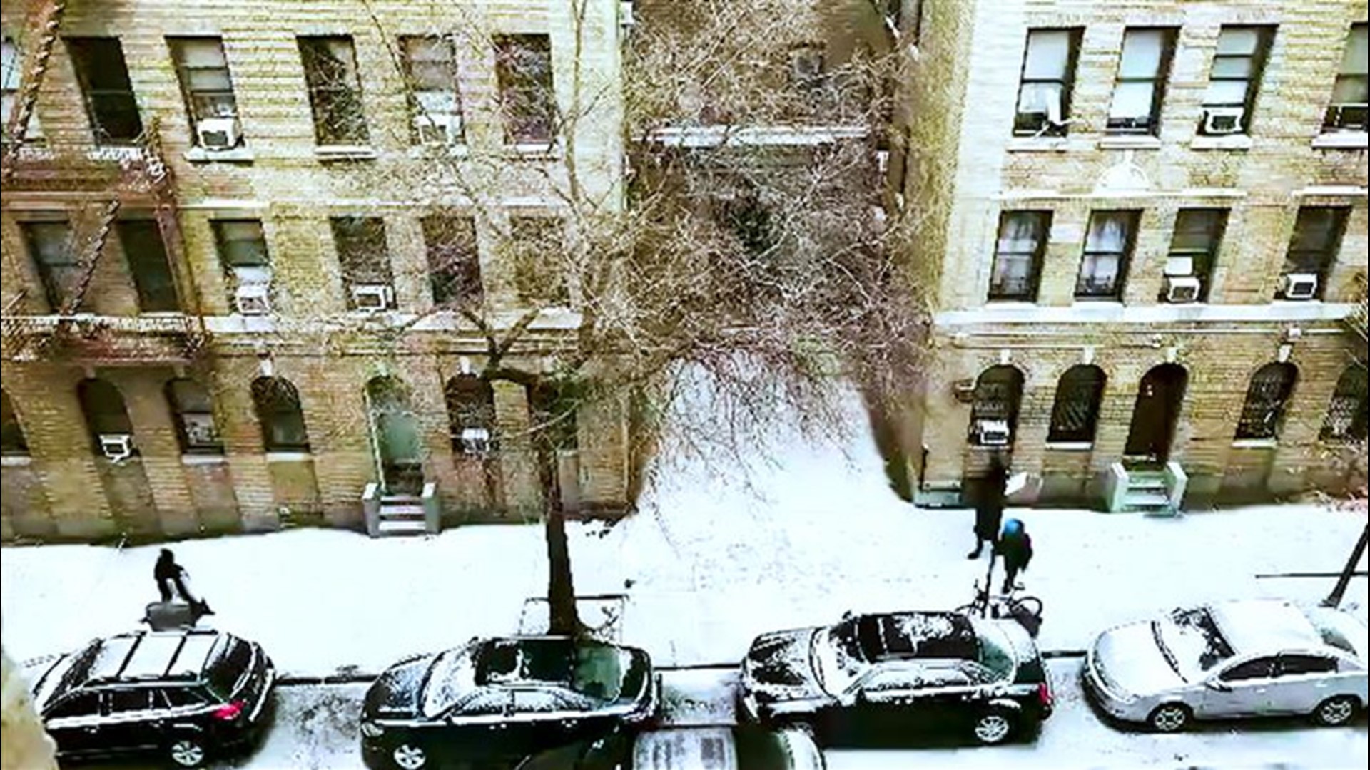 This timelapse from New York, New York, shows just how quickly the snow began to pile up on Jan. 18.