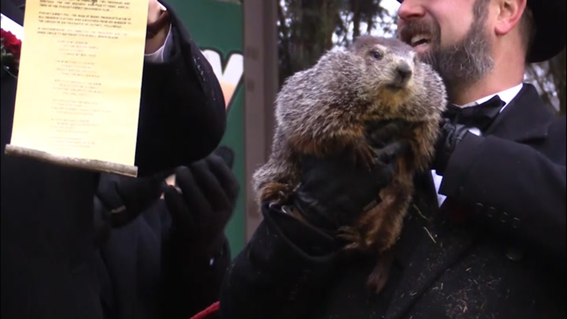 The history of Groundhog Day 