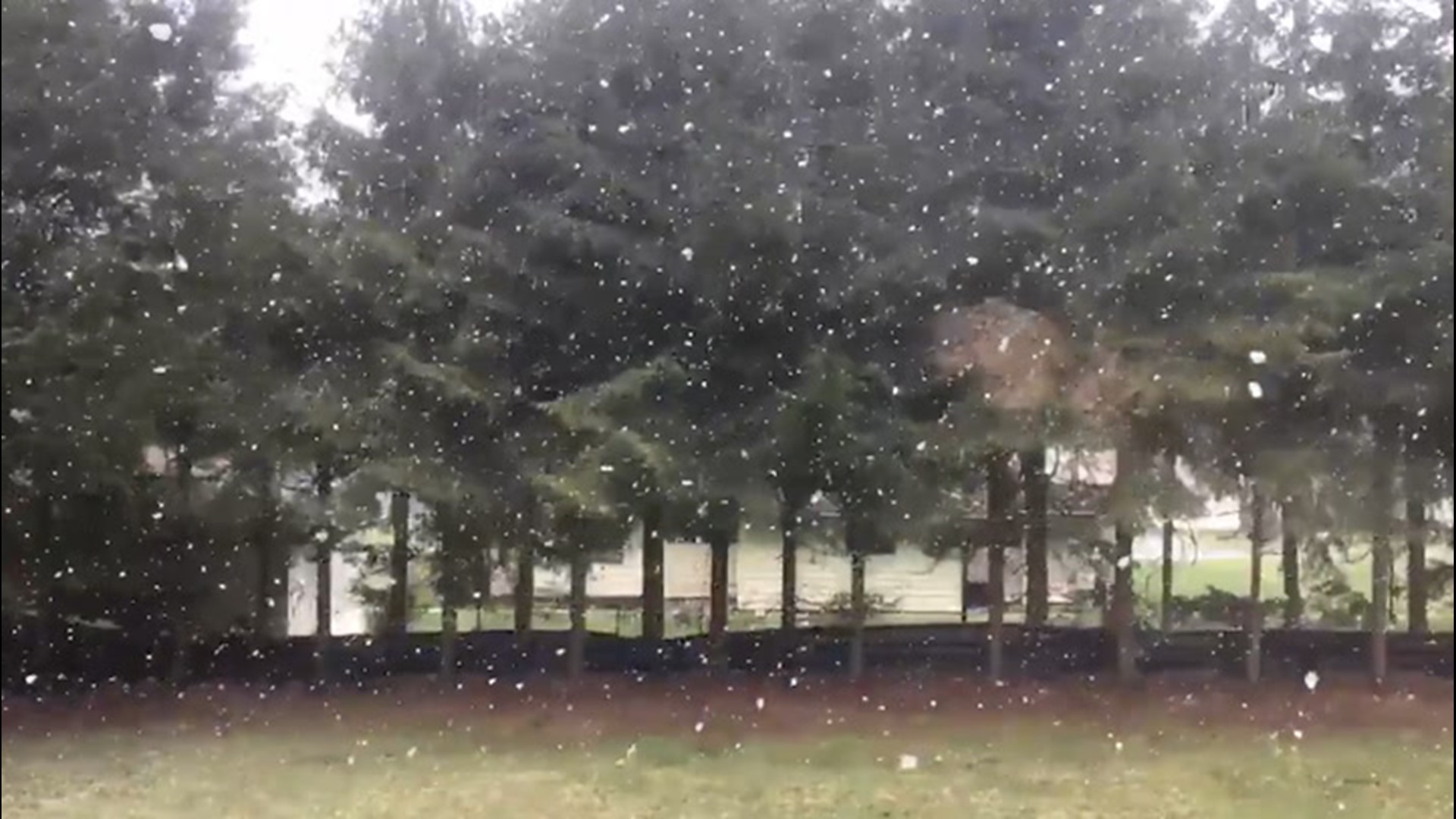 If it's gonna snow here in Franklin, Pennsylvania, it might as well look like a big snow globe on April 21. This slow-mo video does just that.