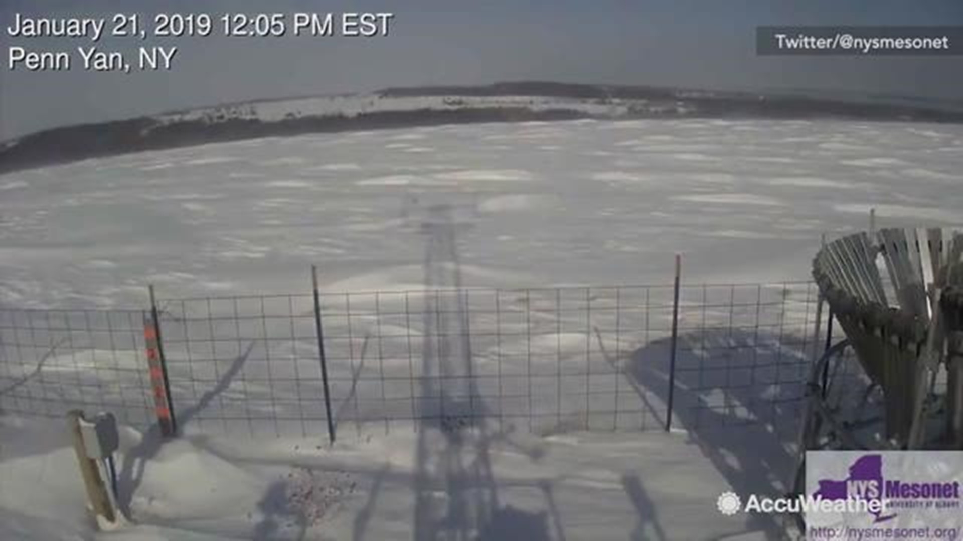Wind gusts of 30 - 40 mph created these 'snow waves' on a field in Penn Yan, New York on January 21st.