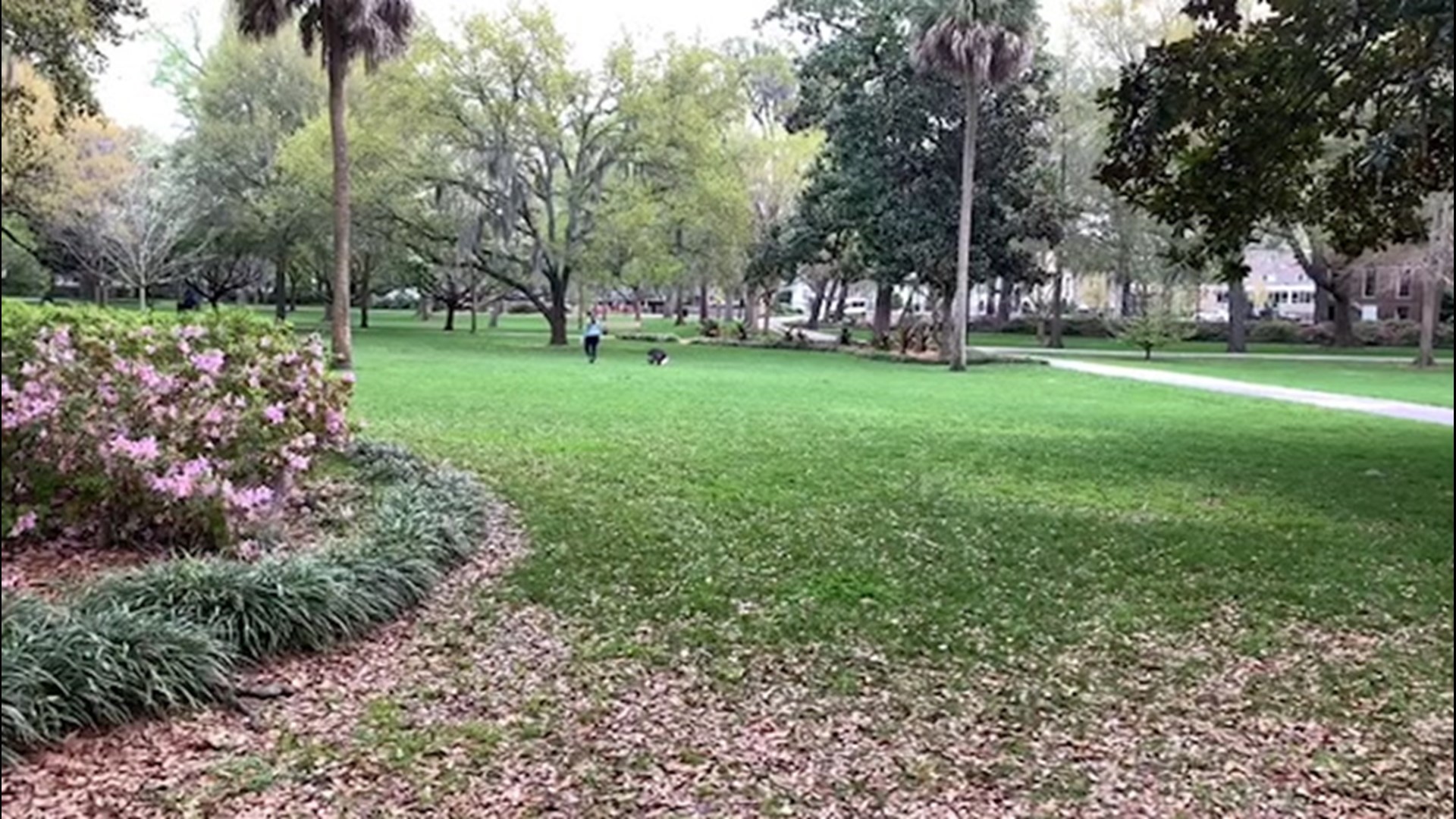 Savannah, Georgia's Forsythe Park was empty on March 18, as people stayed away from areas the public usually gathers in an effort to stop the spread of COVID-19.