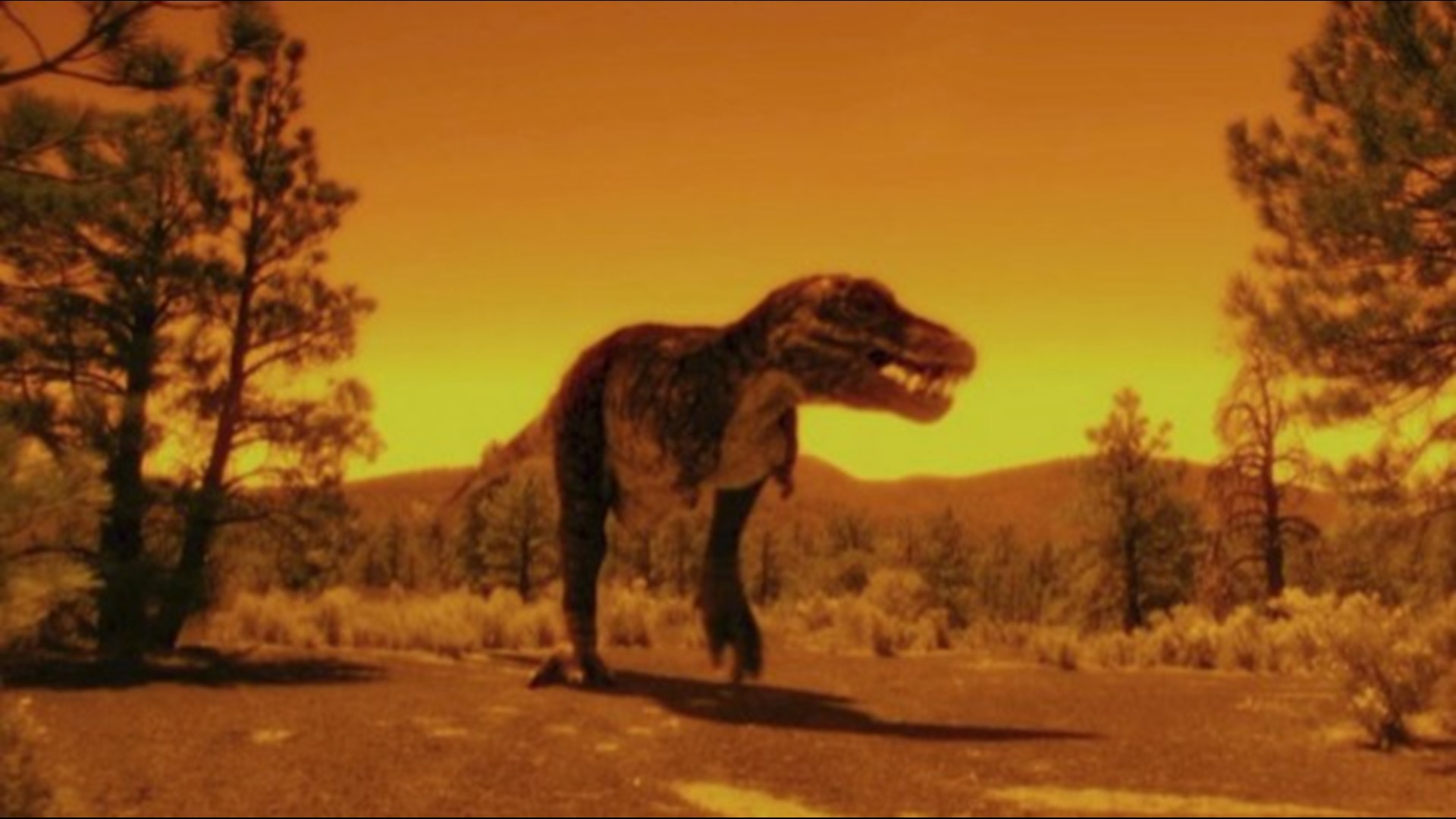 Was The T Rex A Teenage Bully 9news Com