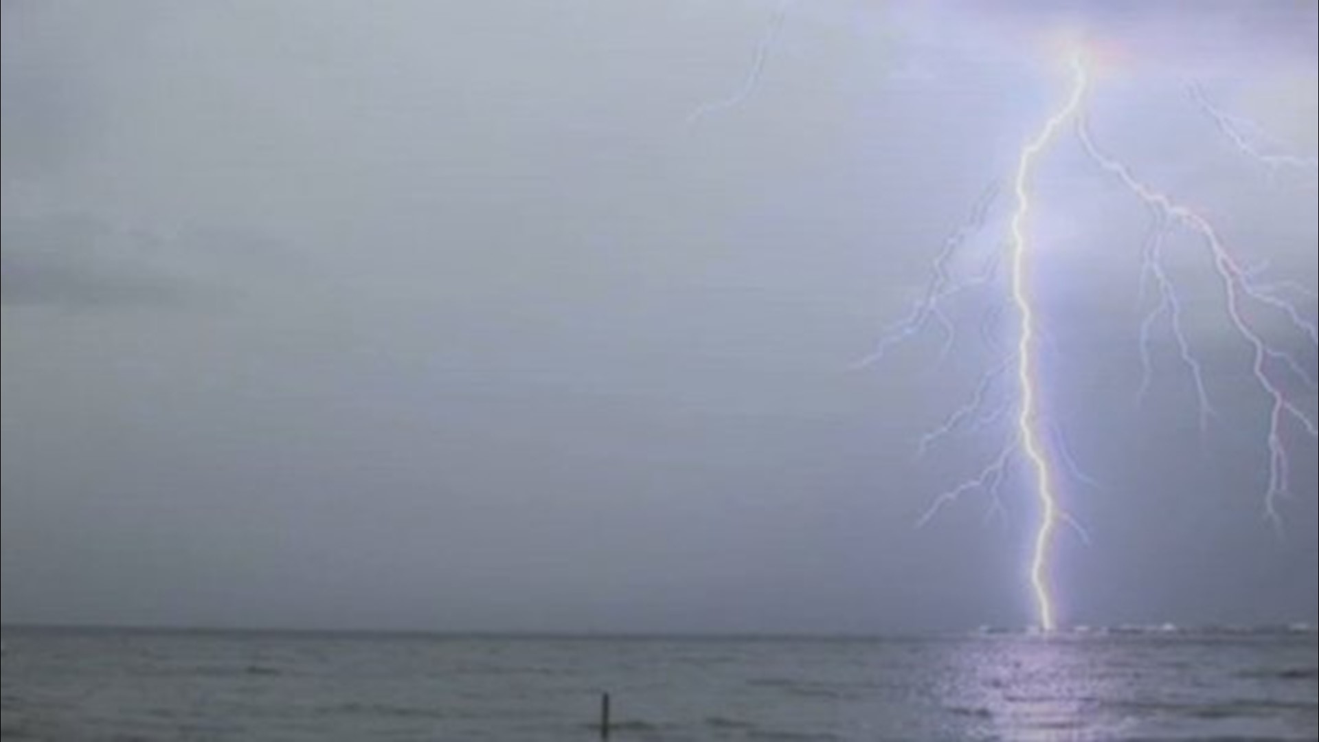 Do Fish Die When Lightning Strikes Water? | 9news.com