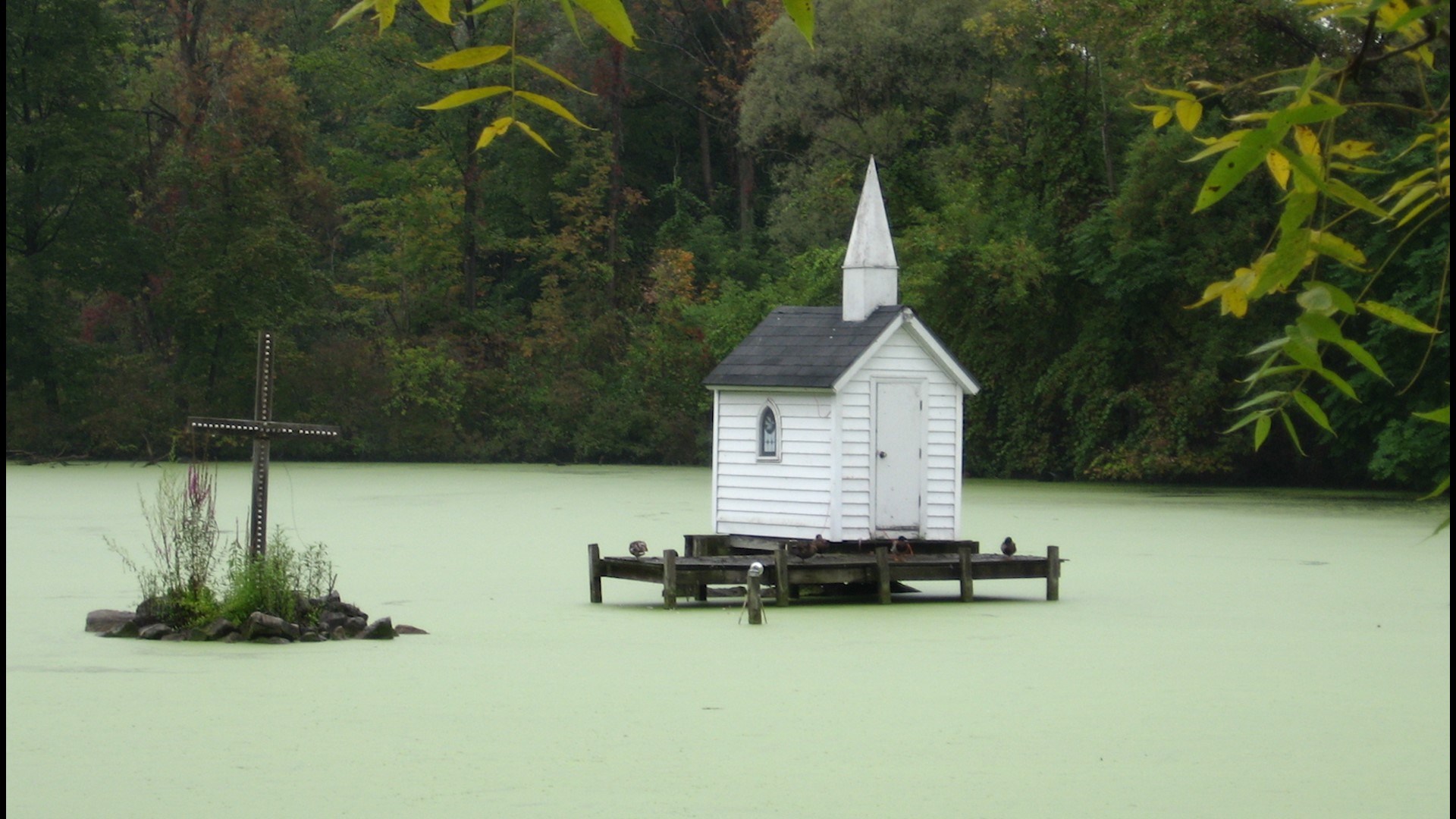 d014c3fa-d0c3-4962-b40e-7e2e26e7f922_192