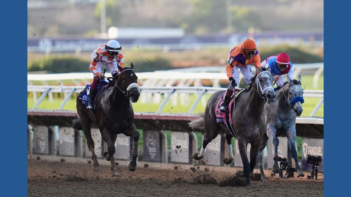 Ted Noffey Wins Breeders' Cup Juvenile, Becomes Kentucky Derby Winter Favorite