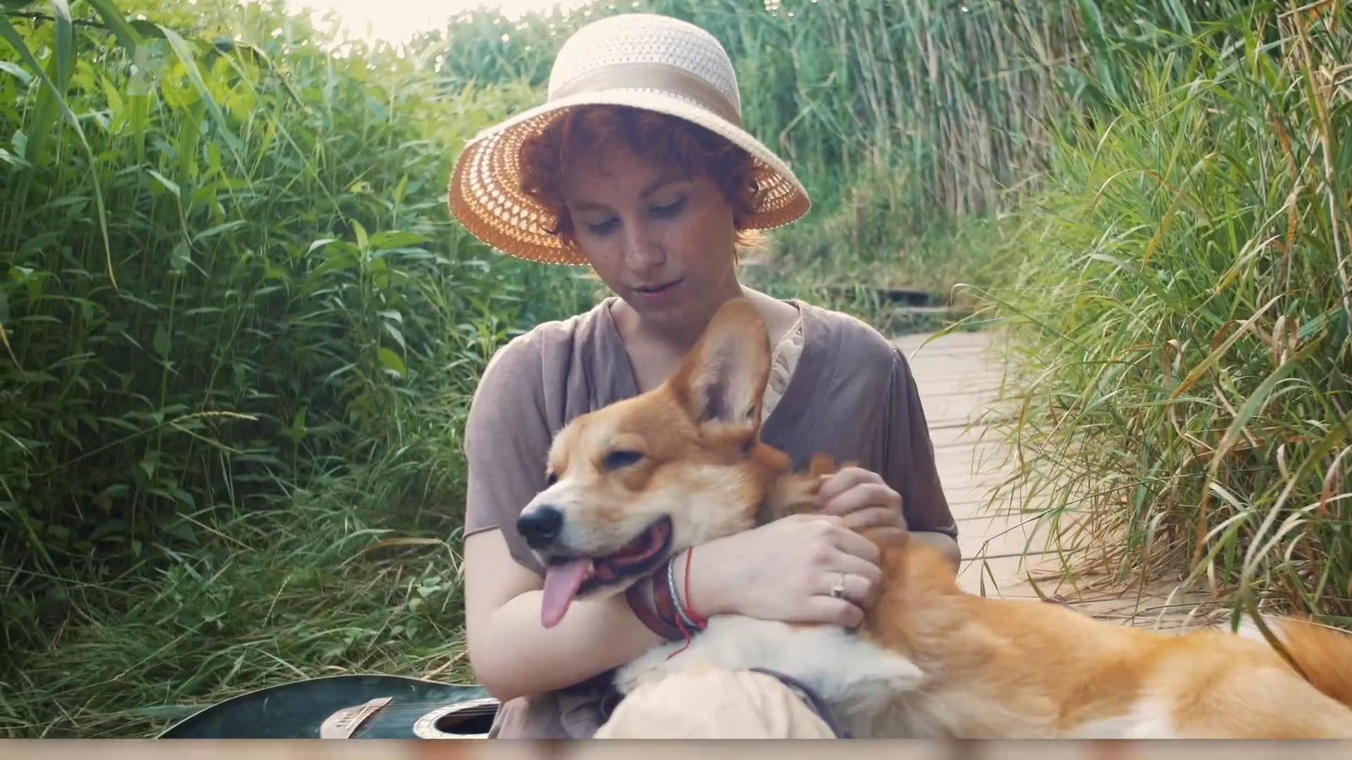 zsa zsa english bulldog