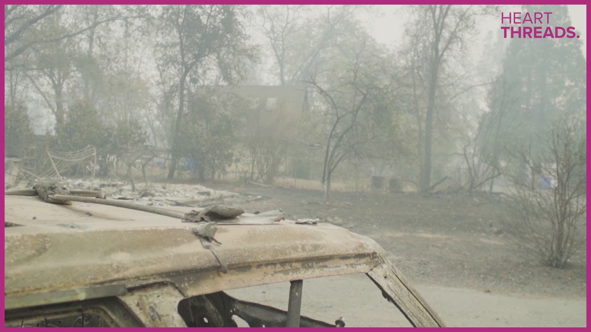 A Facebook group turned volunteer group has been going into areas devastated by fires and finding all types of animals, from hamsters to horses, in hopes of reconciling them with their owners.