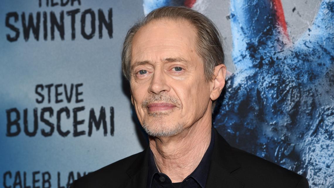 Man charged for punching Steve Buscemi in New York