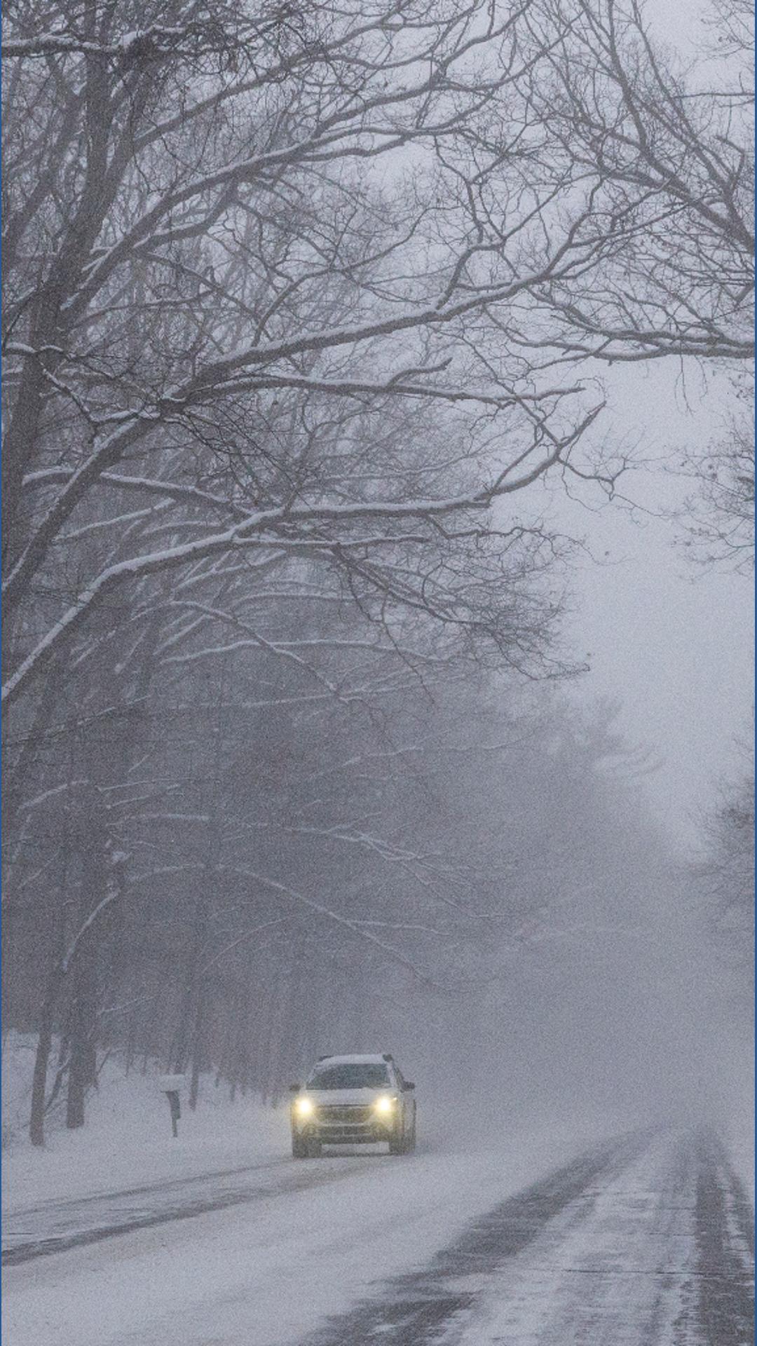 Can trees 'explode' during winter weather? | 9news.com