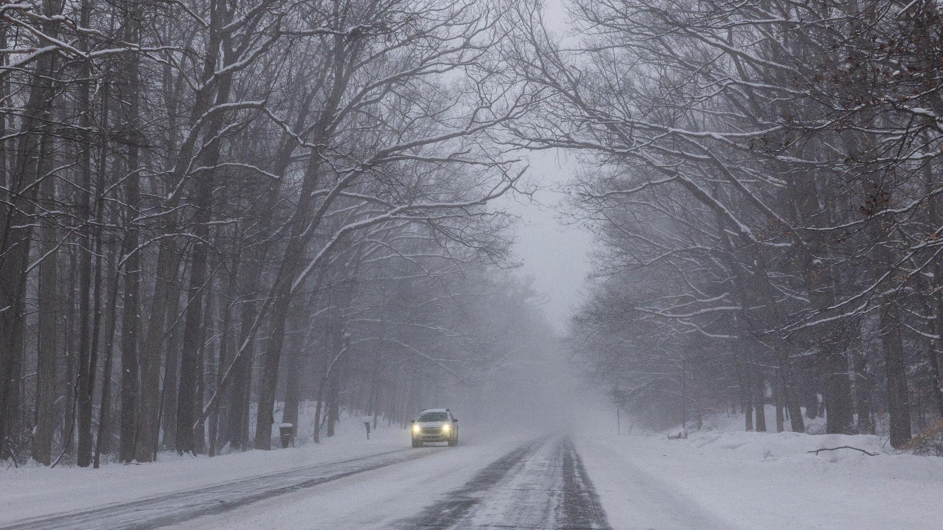 Can trees 'explode' during winter weather? | 9news.com