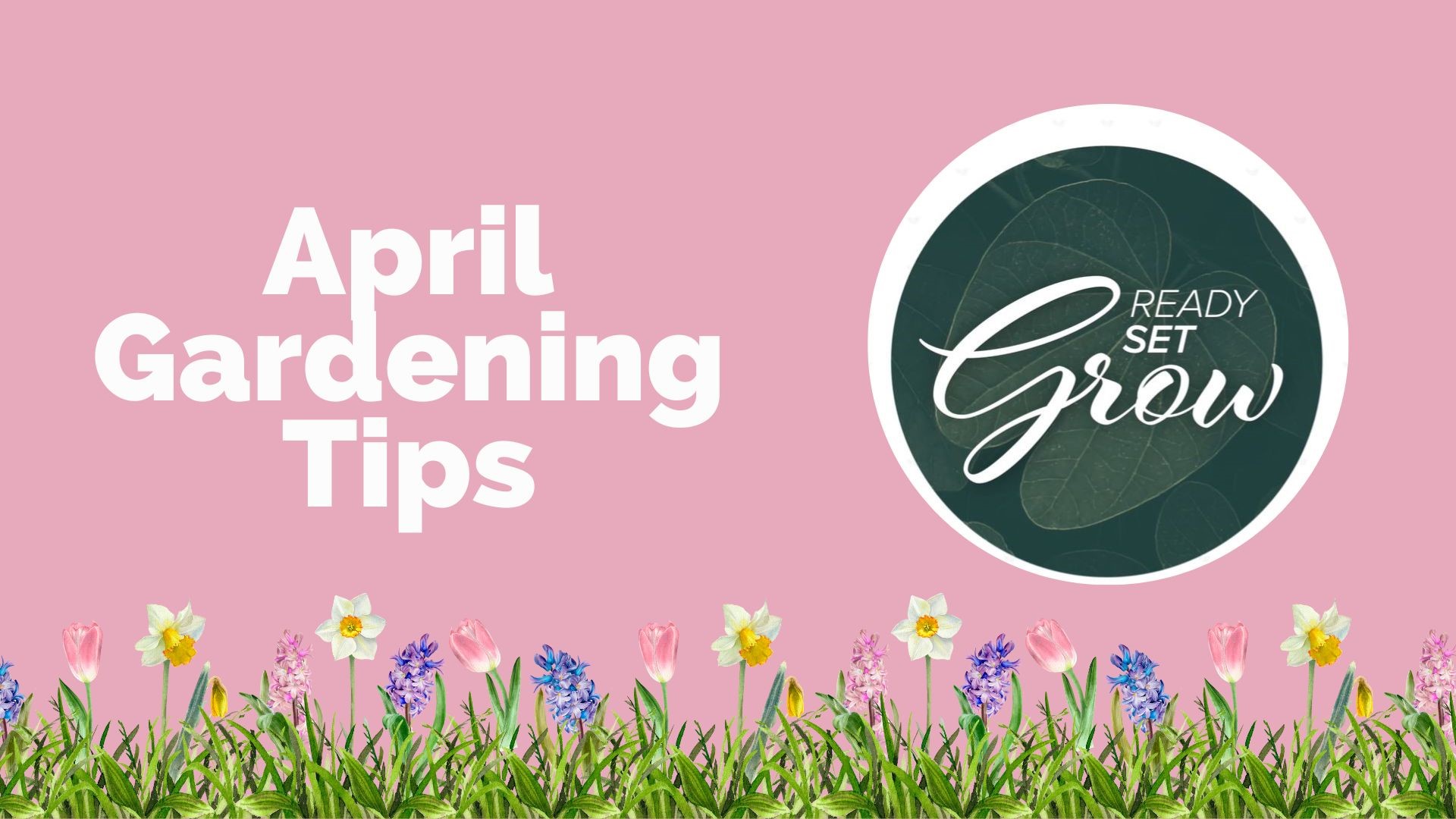 Ready, Set, Grow | April Gardening Tips | 9news.com