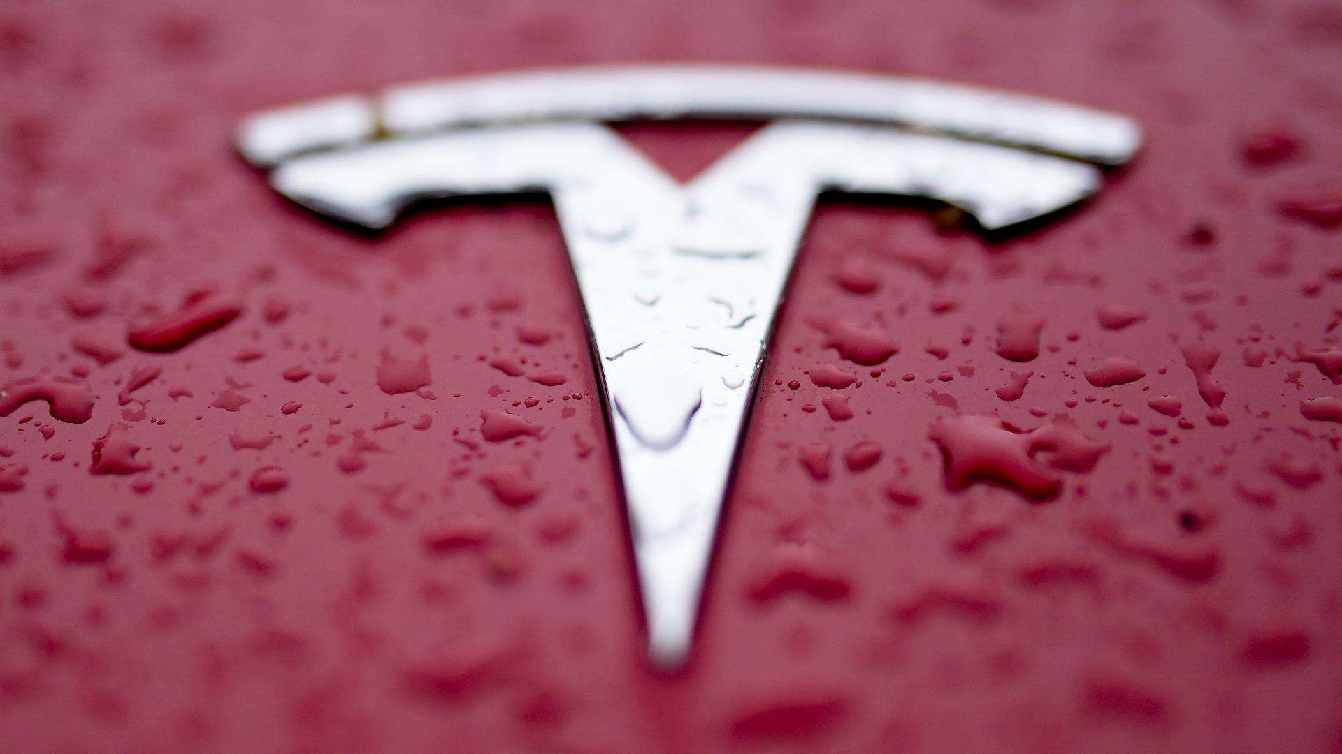Man drives into Tesla protesters in Florida, gets arrested | 9news.com