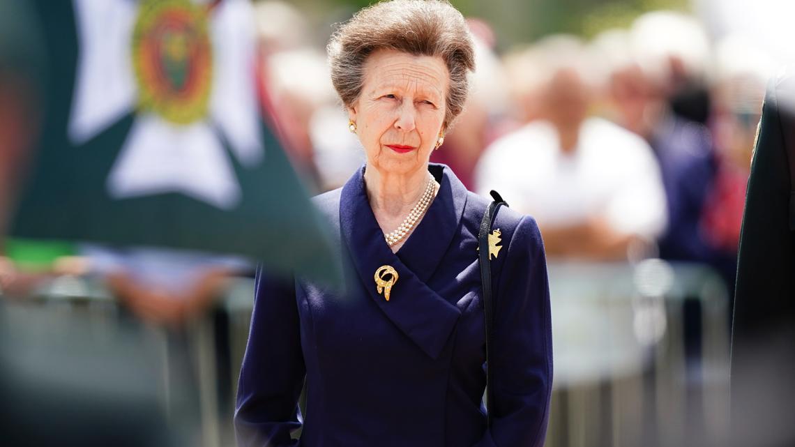 Princess Anne suffers concussion, Buckingham Palace says | 9news.com