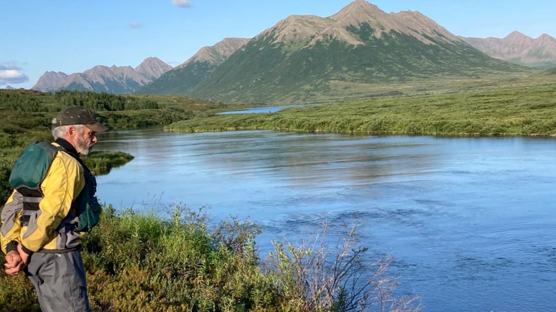 Family says Alaska photographer killed in moose attack knew risks - Vimarsana News