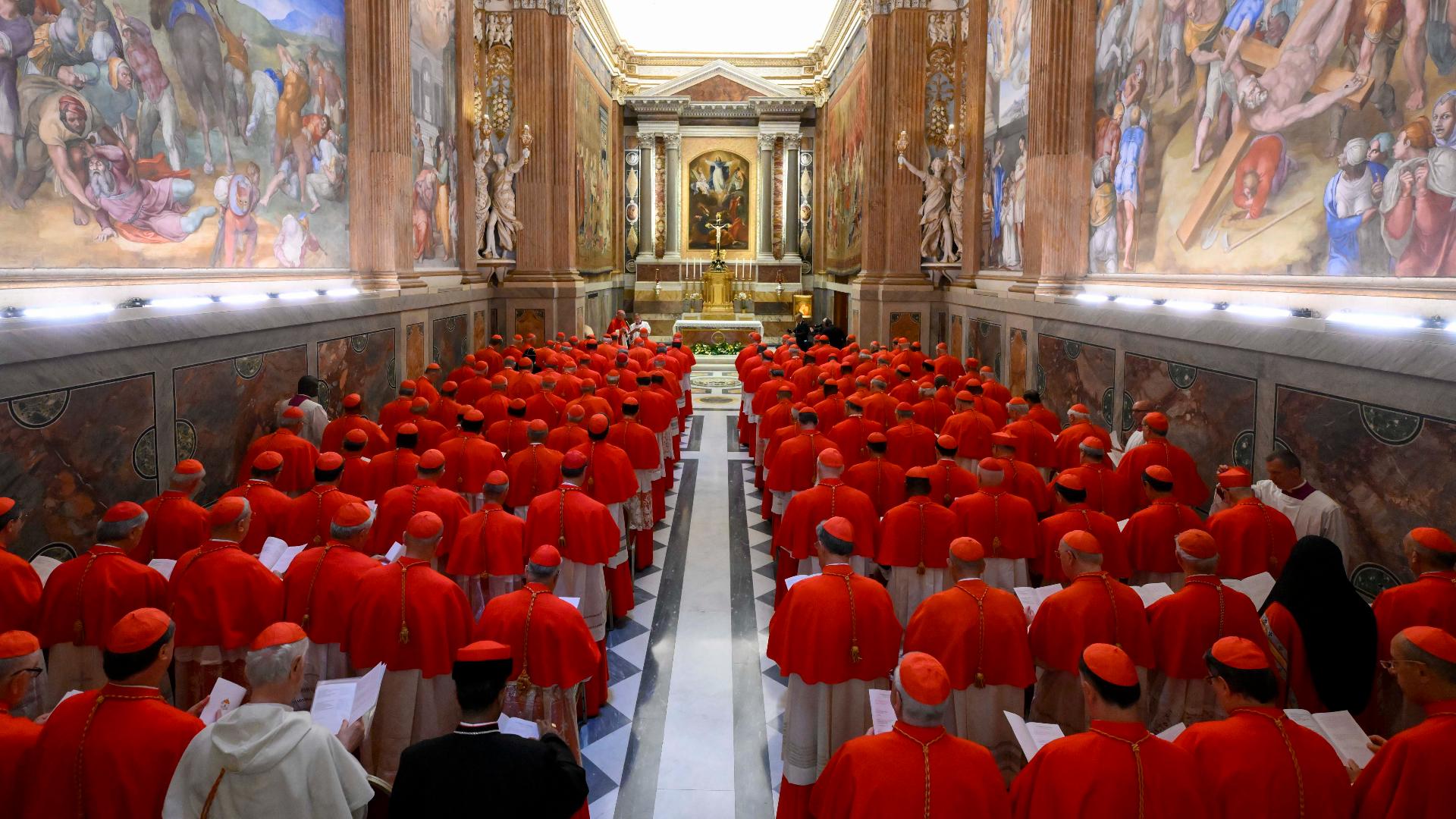 Why are some cardinals wearing purple or black? | 9news.com