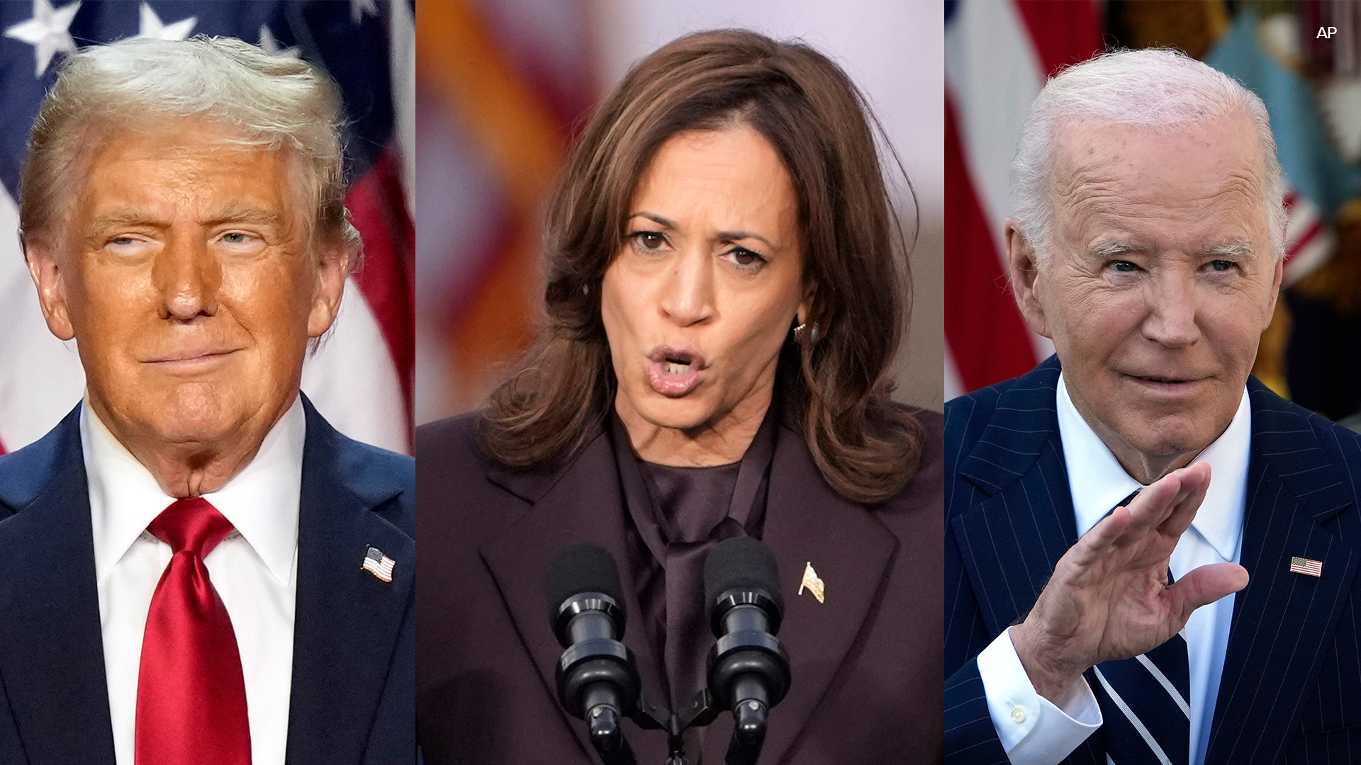 Watch speeches from Donald Trump at his 2024 presidential election watch party, the concession speech from VP Kamala Harris and Biden's post-election address.