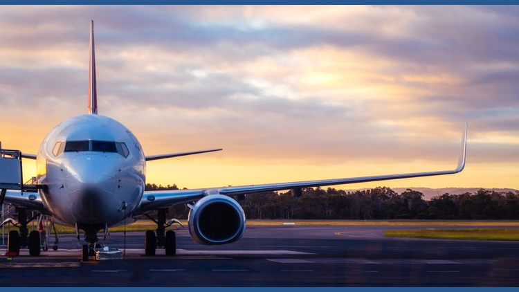 Former flight attendant pleads guilty to wire fraud for posing as pilot to get hundreds of free flights on three U.S. airlines; faces up to 20 years in prison