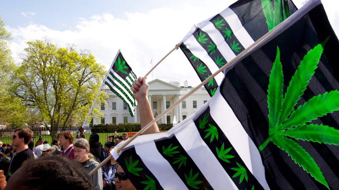 Which states voted to legalize marijuana? - Vimarsana News