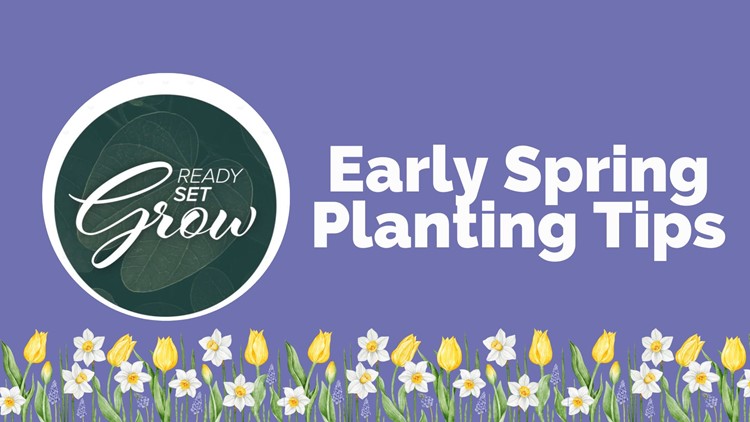 Ready, Set, Grow | Early Spring Planting Tips