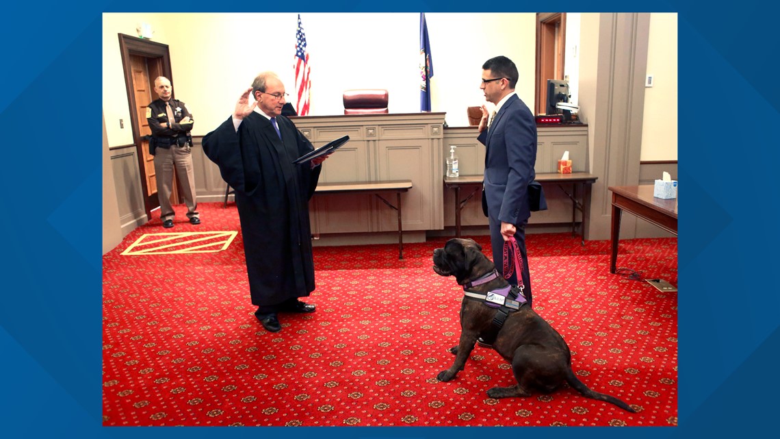 Anjing ‘Comfort’ di gedung pengadilan membantu menenangkan saksi