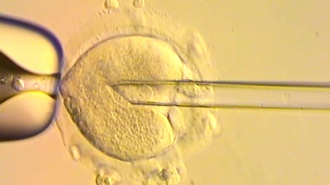 Eight UK Babies Born With Donor Mitochondria