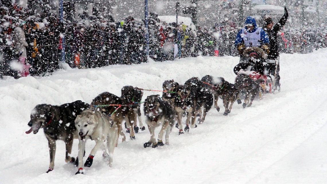 Iditarod race in 2023 has smallest field ever - Vimarsana News