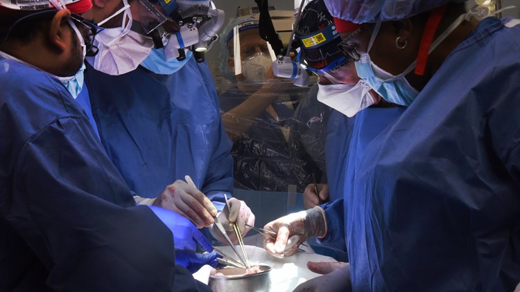 Maryland handyman gets transplant pig heart in highly experimental surgery