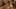 'Outer Banks' Season 3 Trailer: Poguelandia Reigns Supreme