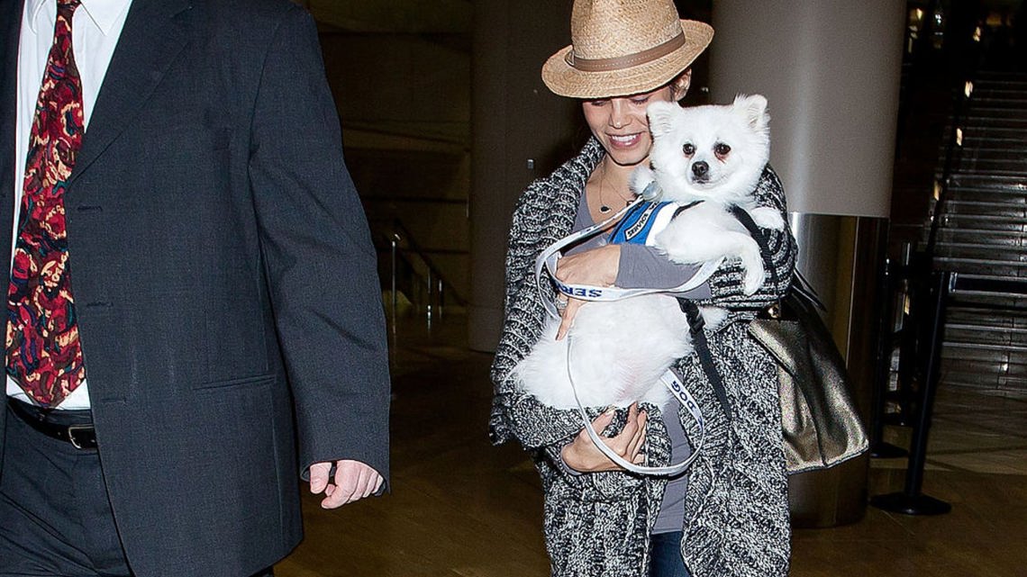 Pregnant Jenna Dewan Mourns Death of Her Dog Meeka: ' - 9News