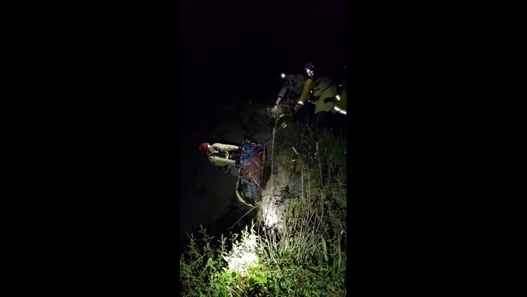 Woman found alive in California after car plunges off cliff