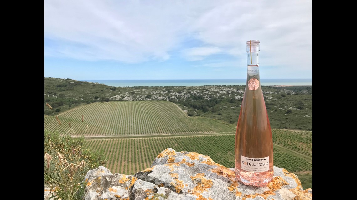 Vivinos Top 20 Rosés For Less Than 20 9newscom