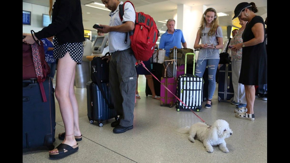 southwest airlines pet shipping