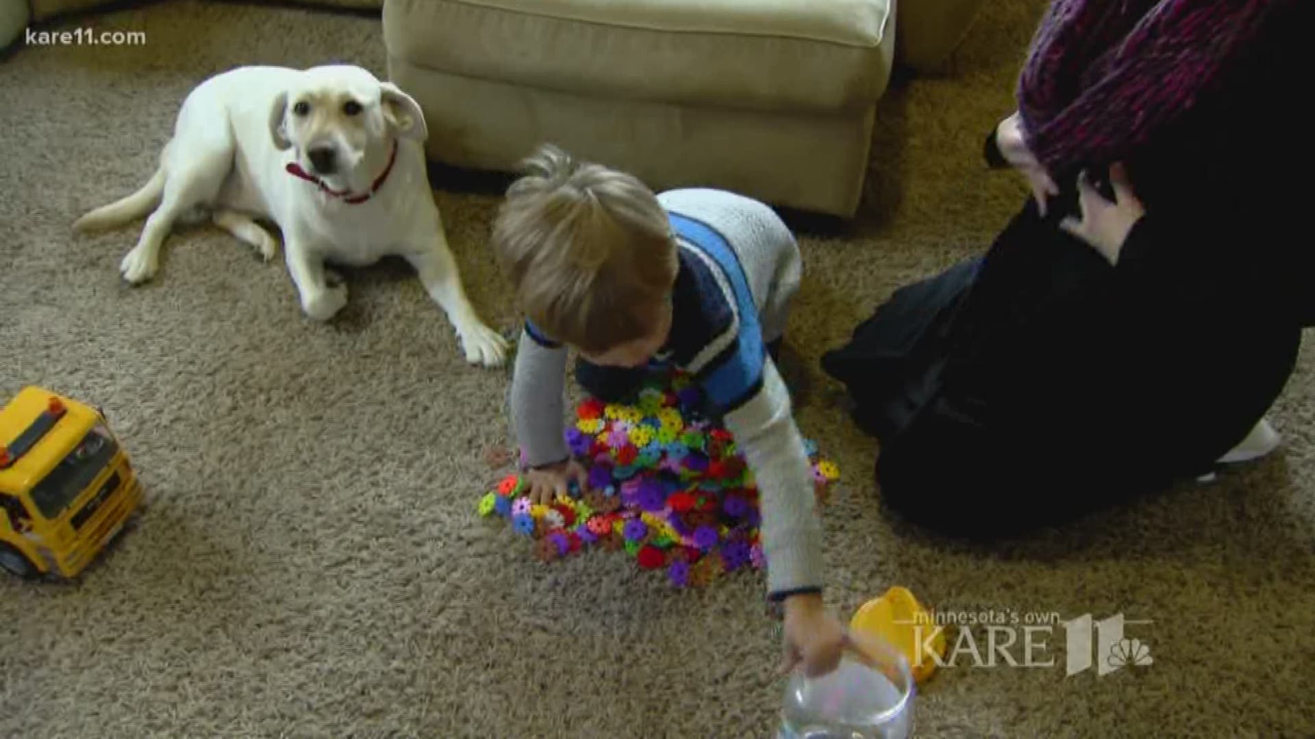 A Minnesota family paid thousands of dollars for a service dog to save their little boy's life. But they say the dog growls, lunges and can't be taken out in public. They are just one of 20 families across the country who say Diabetic Alert Dogs of Americ