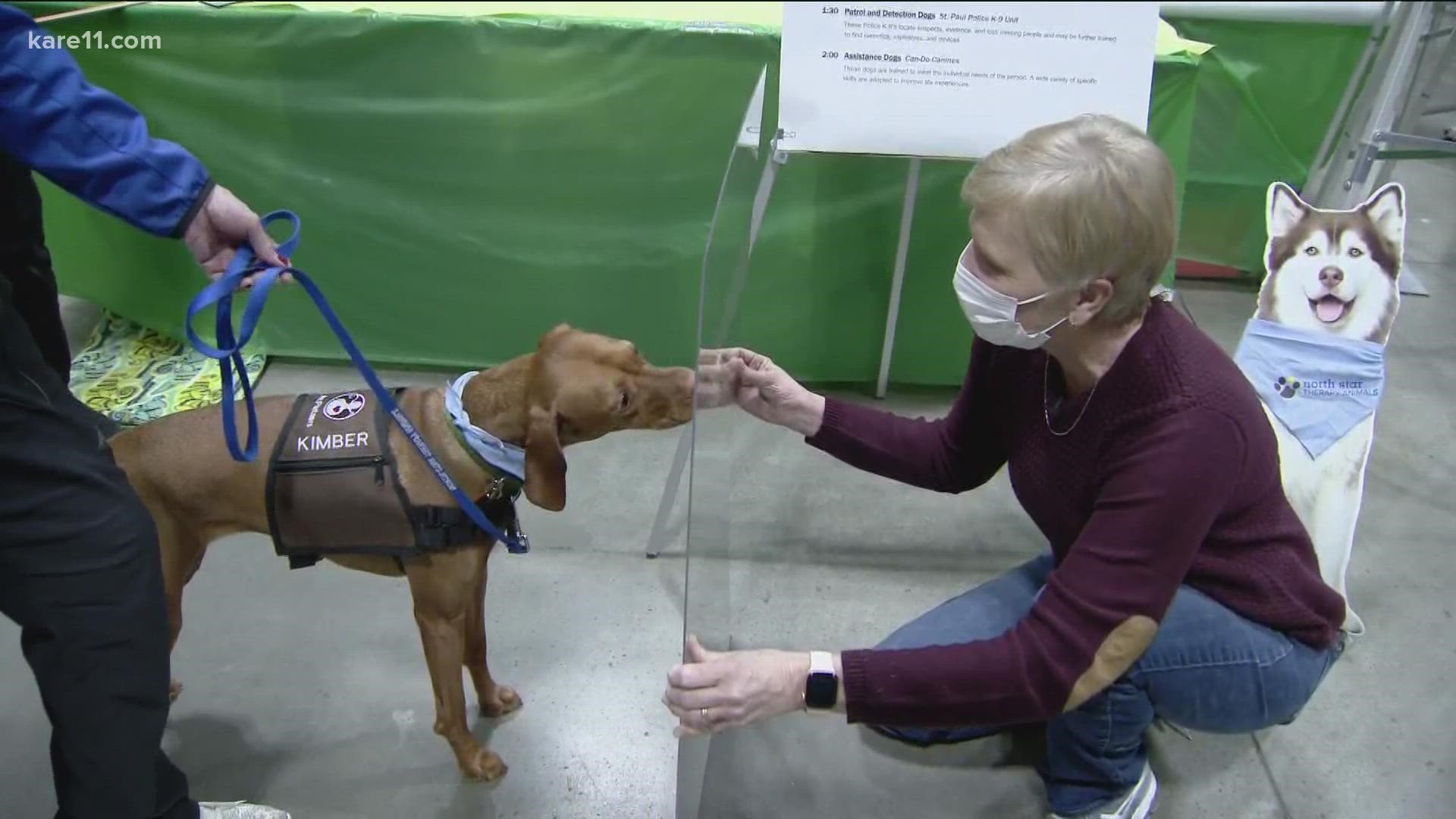 The Land O’ Lakes Kennel Club Dog Show will feature nearly 200 dog breeds, including two newly recognized breeds - the Russian Toy and the Mudi.