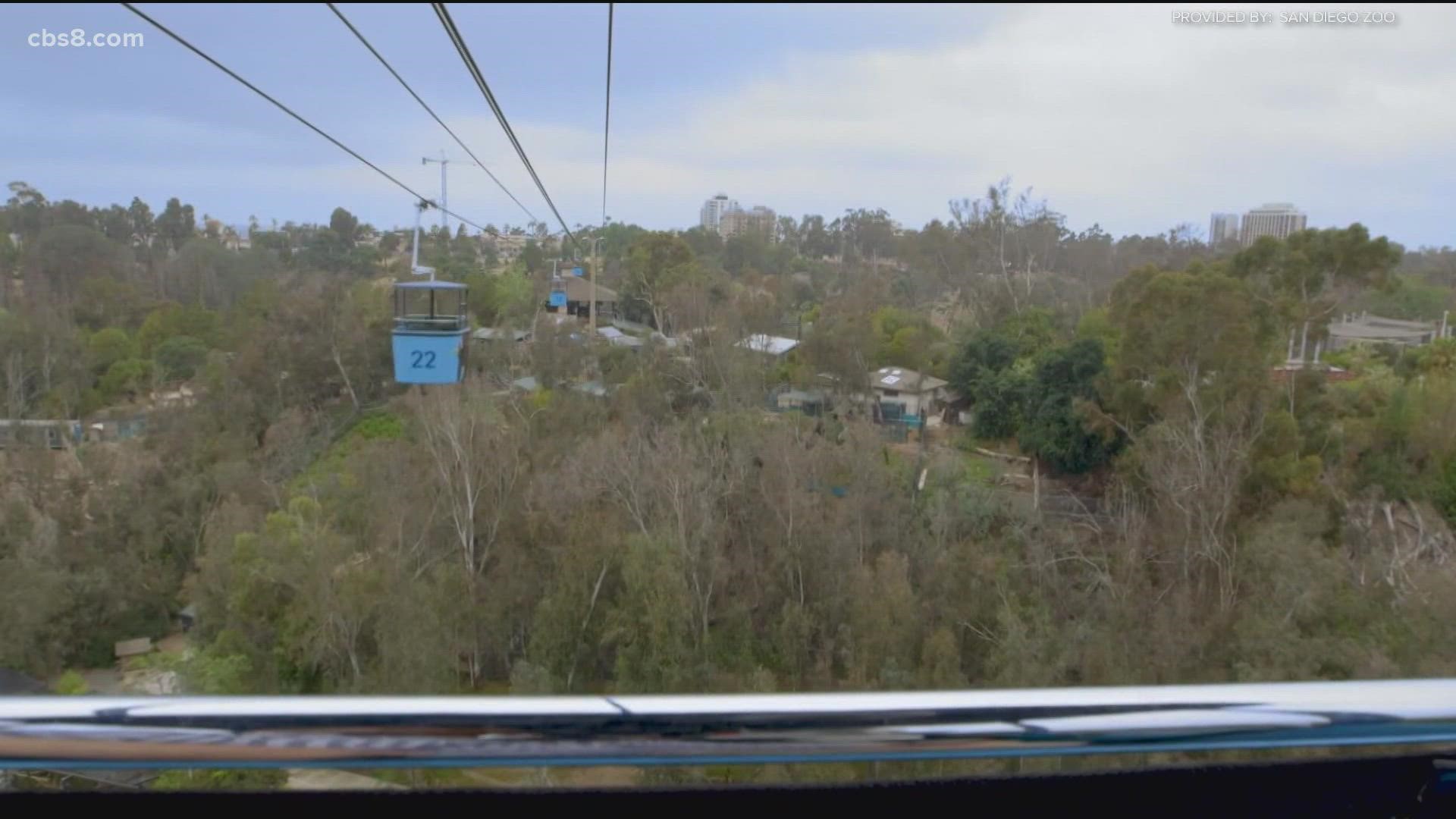Four individuals were arrested and charged with felony vandalism for derailing their gondola, causing the ride to stop on Saturday.