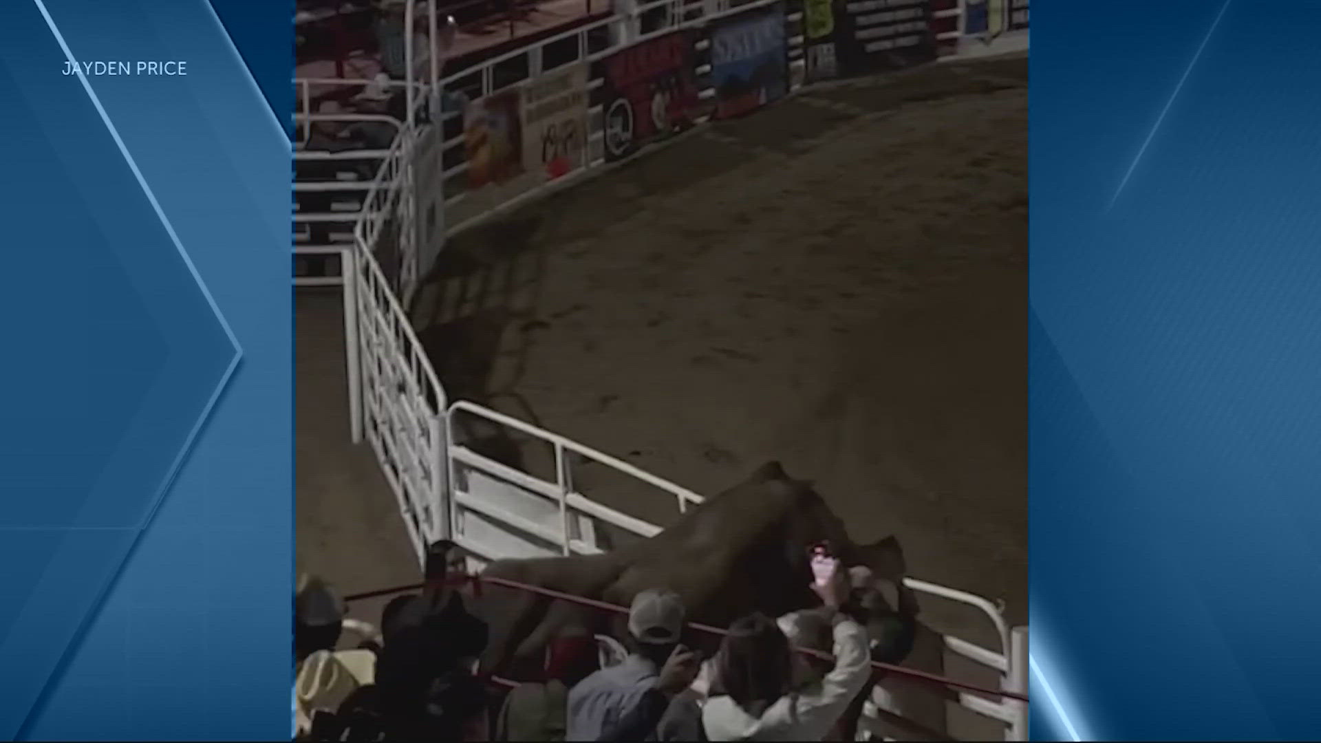 Bull hops fence at Oregon rodeo, injuring 3 | 9news.com