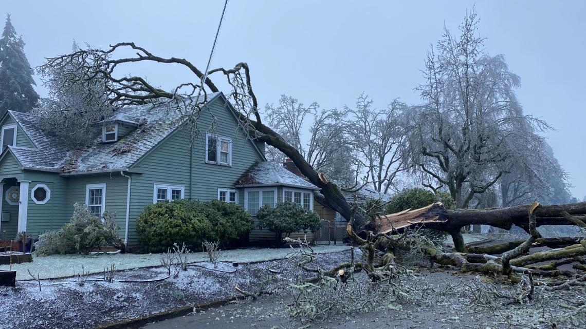 Ice storm causes trees to fall on homes in Salem, Oregon