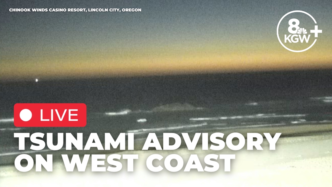 Tsunami tracker map