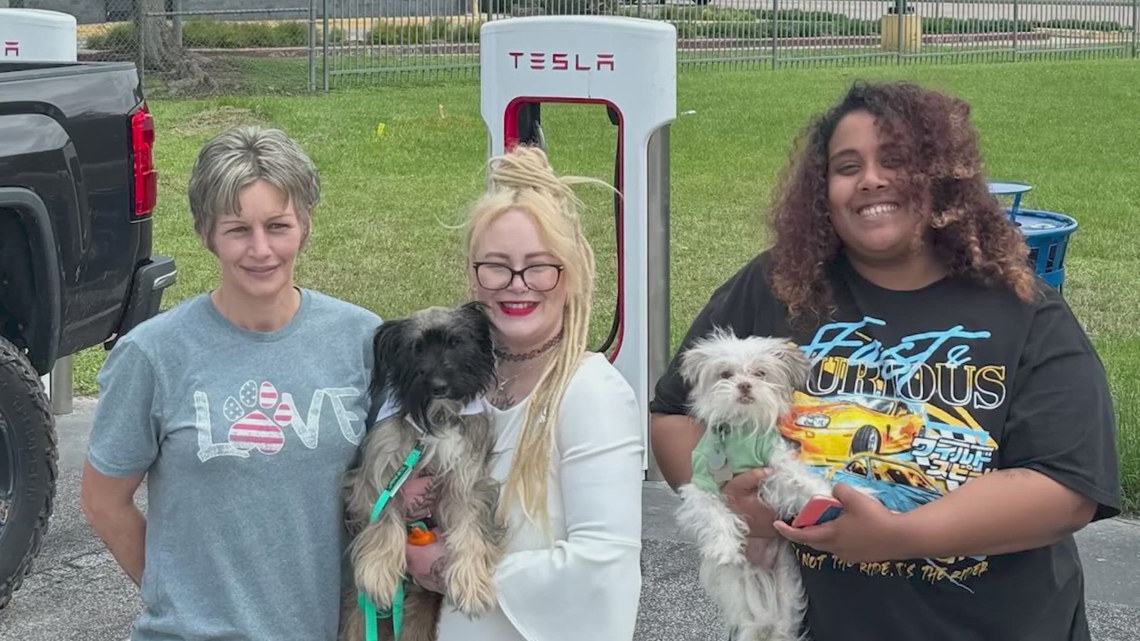 Texas dog reunited with family after missing for over 2 years