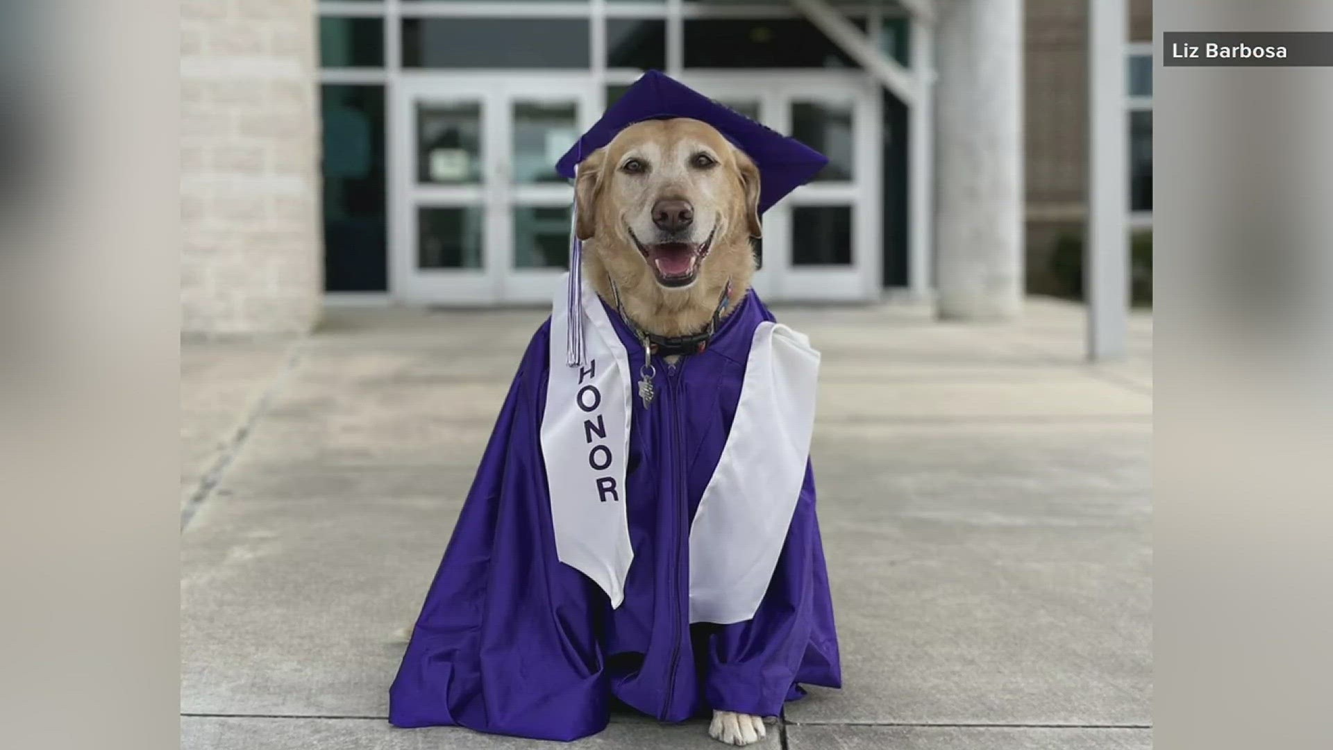 Sadie the service dog started going to school with Annslee Barbosa, who is a Type 1 diabetic, in the 3rd grade. Now, Annslee is going to high school without Sadie.
