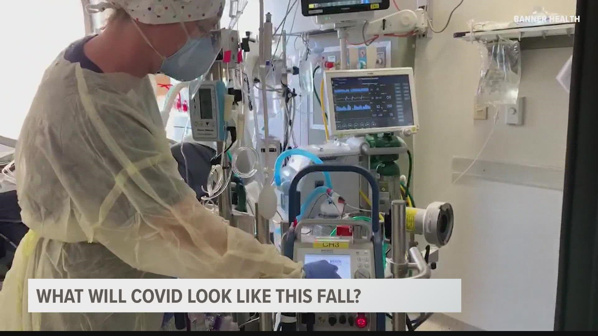 Dr. Joe Gerald of the University of Arizona told 12 News he's optimistic Arizona's infection rates for COVID-19 could be on a downward trajectory in the near future.