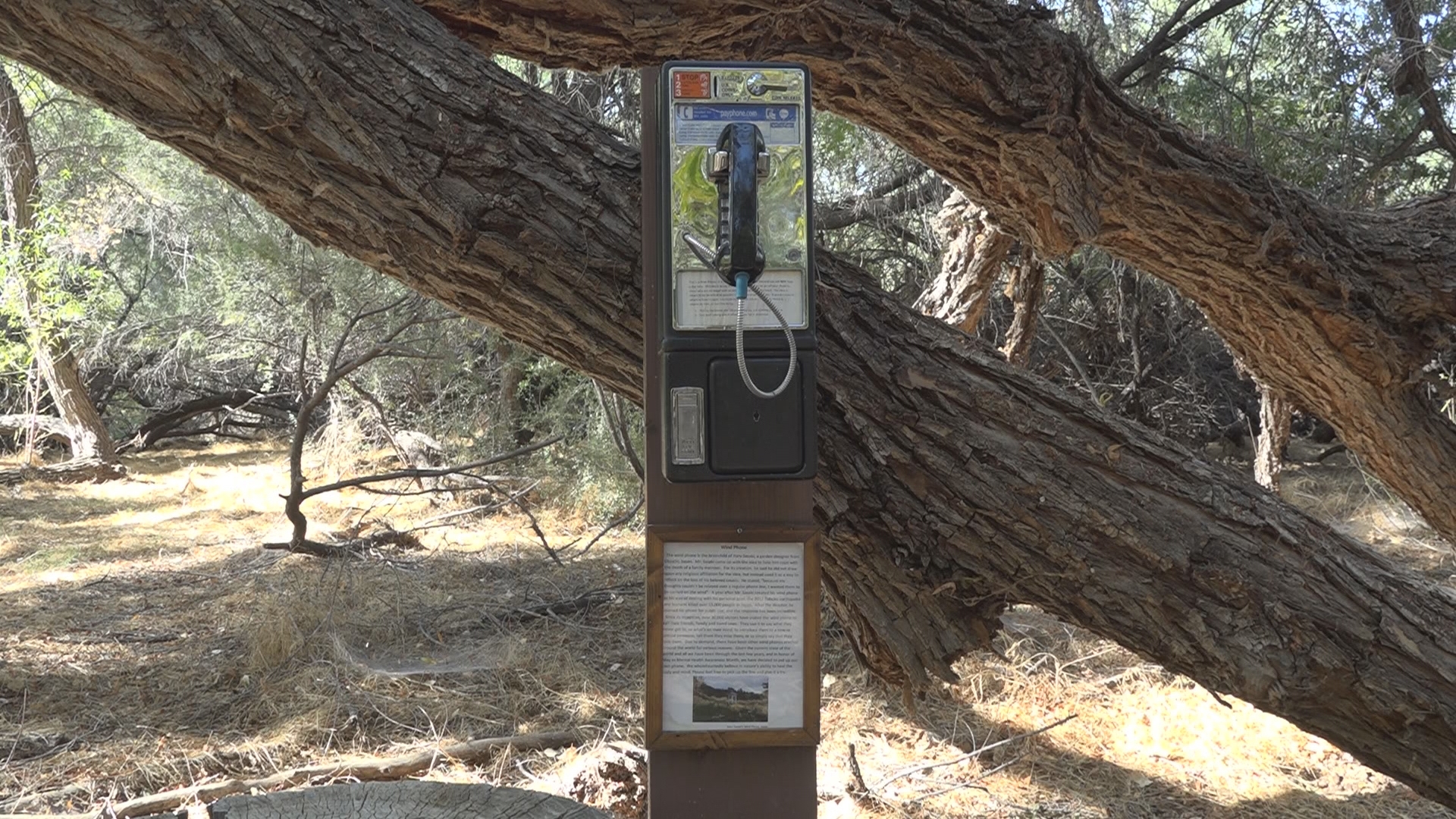 It is a payphone that requires no payment — no number of nickels or dimes will ever make it work again — but people still use it.