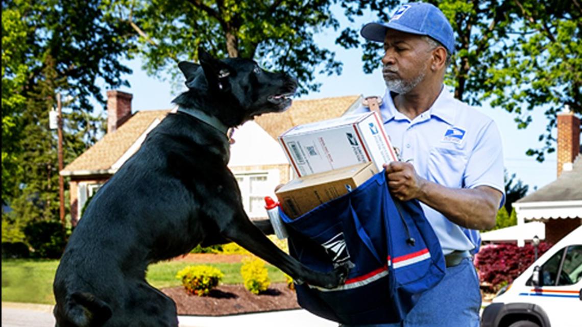 USPS Reports Over 6,000 Dog Bite Attacks on Postal Workers Nationwide