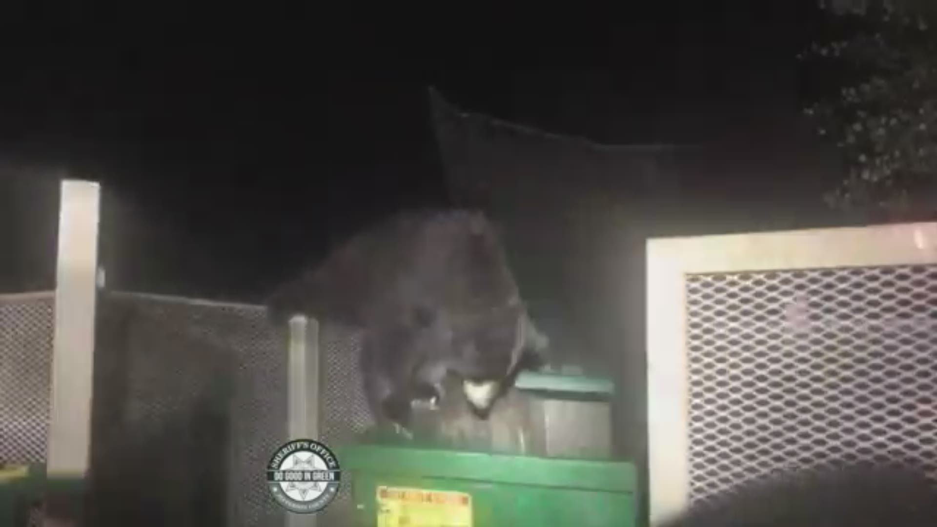Jefferson County deputies helped three bear cubs escape from a dumpster that closed on them. One of them, nicknamed "sweet pea," needed an extra hand.