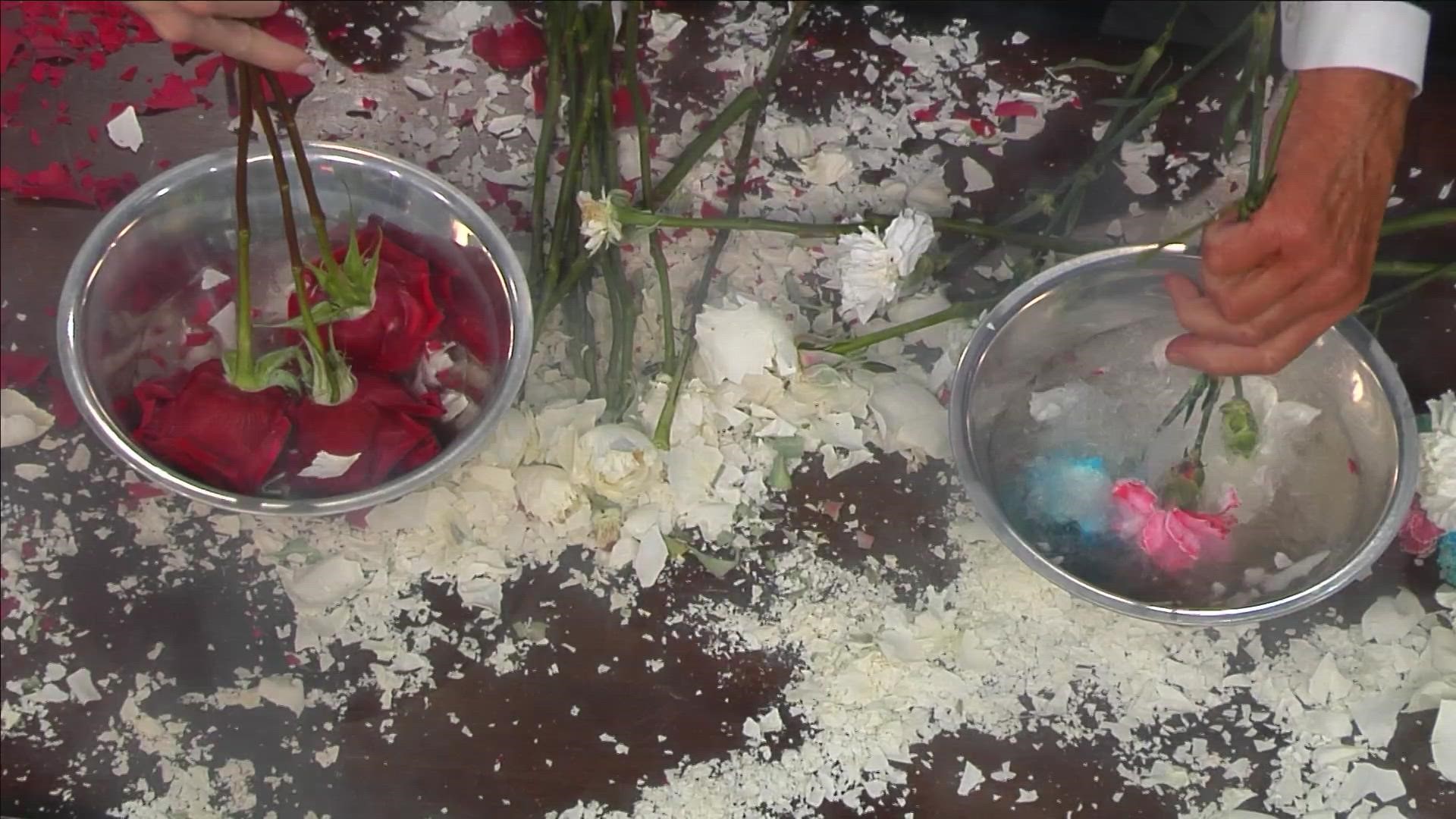 Now that Valentine's Day is over, you might be wondering what to do with those flowers you got. Science guy Steve Spangler has some ideas.