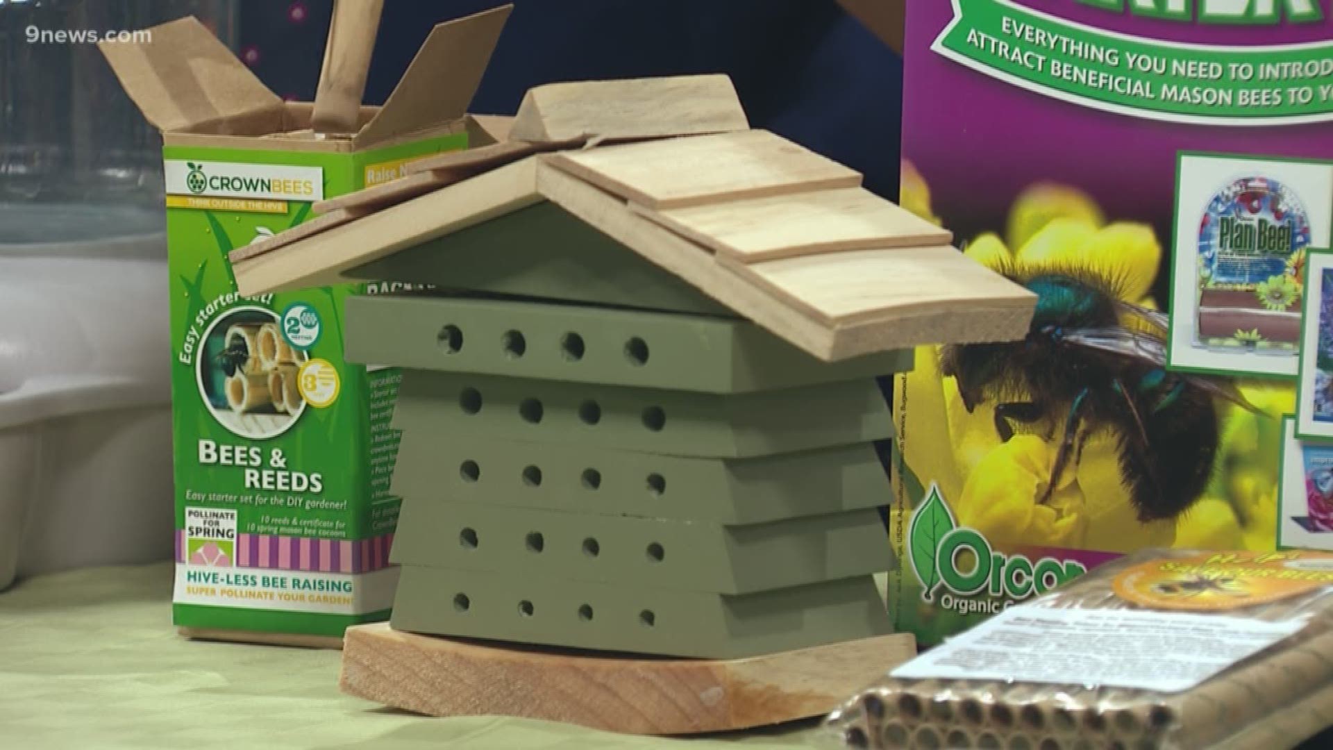 Julie Peterson talks about how you can make your garden more welcoming for pollinating mason bees, which are especially good for fruit trees
