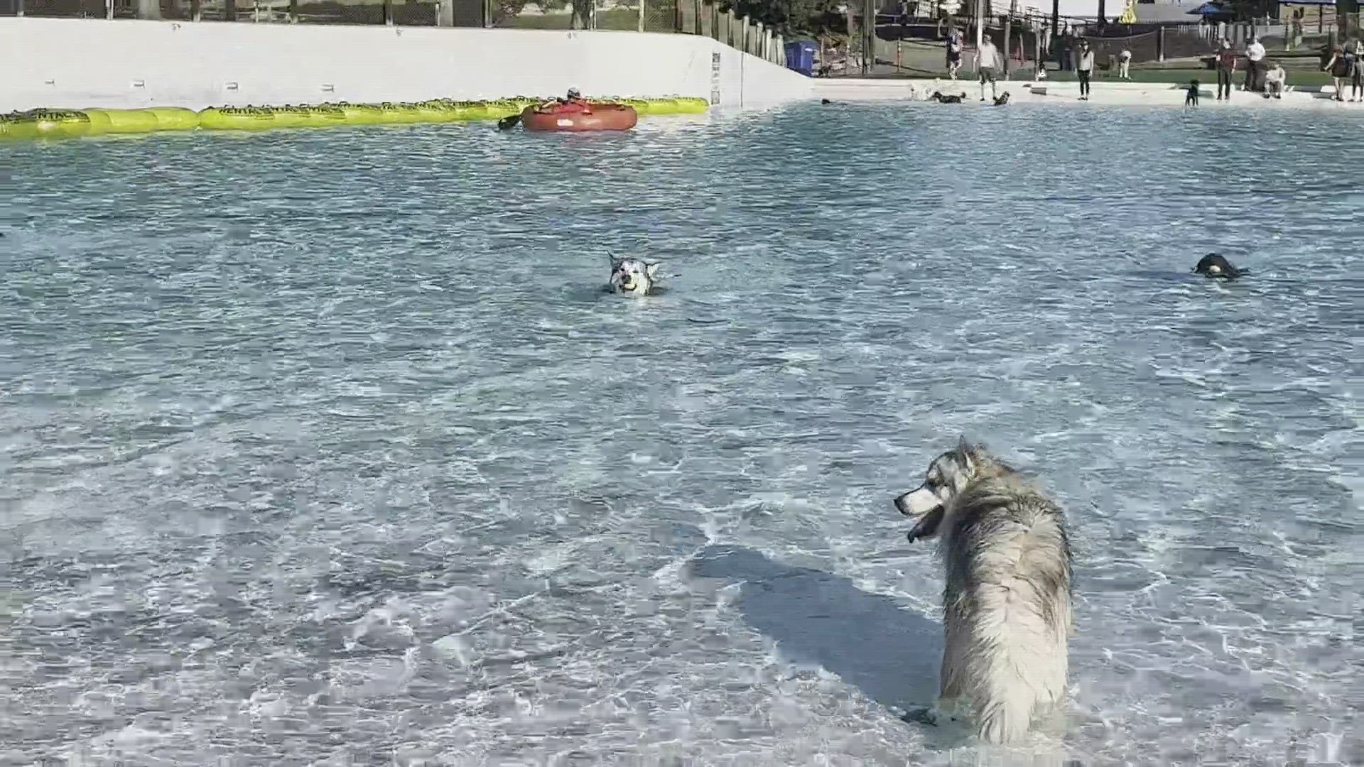Water World Colorado invited pups of all sizes to splash, swim, fetch, and play in four of the park’s signature attractions on Saturday, Sept. 9, 2023.